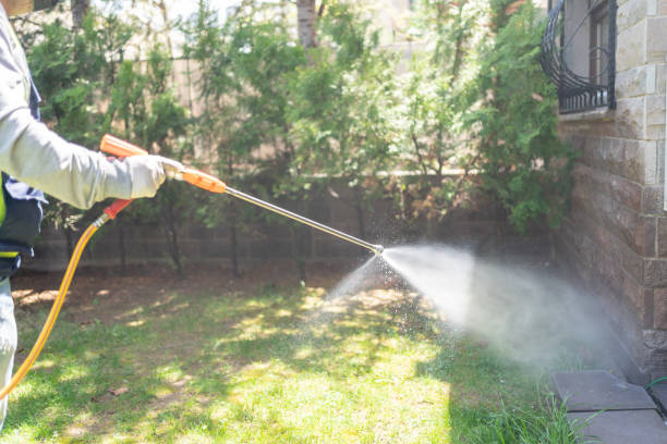Professional Pest Control in Kingwood, WV